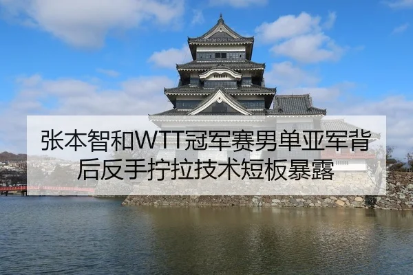 张本智和WTT冠军赛男单亚军背后反手拧拉技术短板暴露