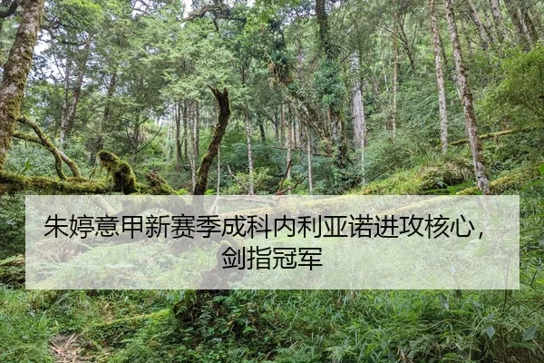 朱婷意甲新赛季成科内利亚诺进攻核心，剑指冠军